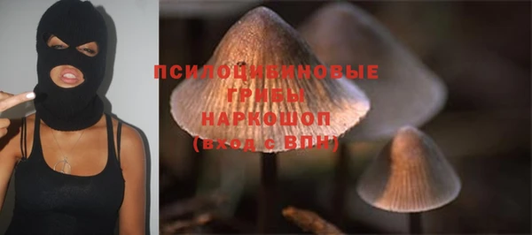 не бодяженный Алзамай