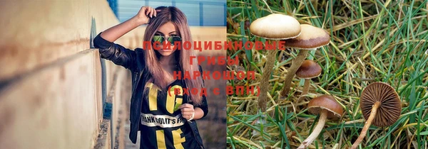 стафф Алексеевка